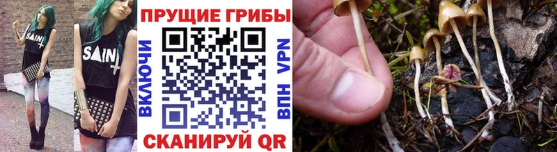Галлюциногенные грибы мухоморы  купить наркоту  Лысково 